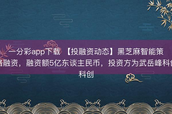 一分彩app下载 【投融资动态】黑芝麻智能策略融资，融资额5亿东谈主民币，投资方为武岳峰科创
