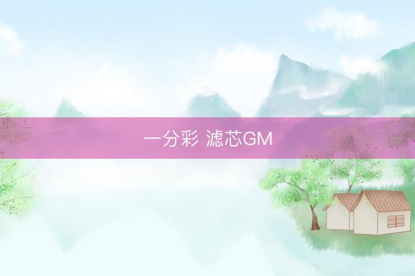 一分彩 滤芯GM